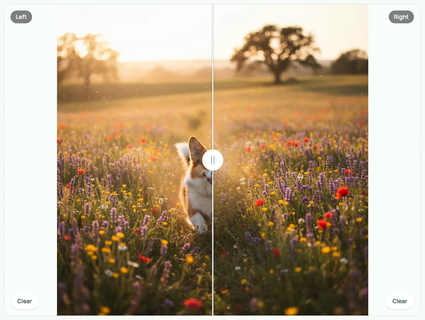 AI object eraser preview showing unwanted elements removed from a product image